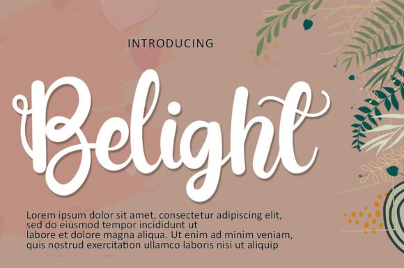Belight Font for Modern Web Design