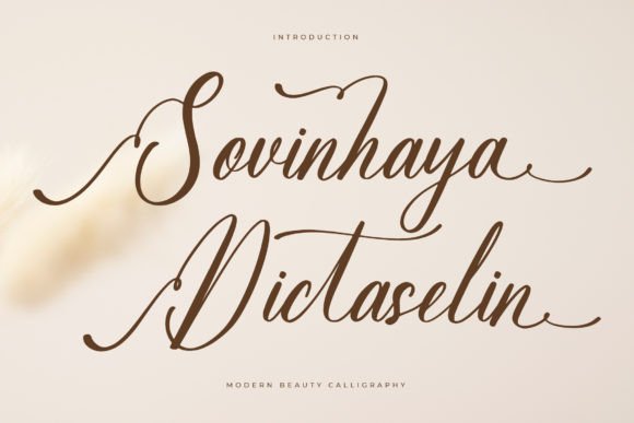 Sovinhaya Dictaselin Font for Modern Branding